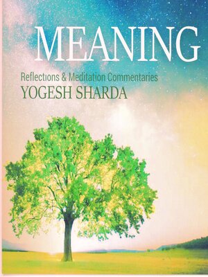 cover image of Meaning